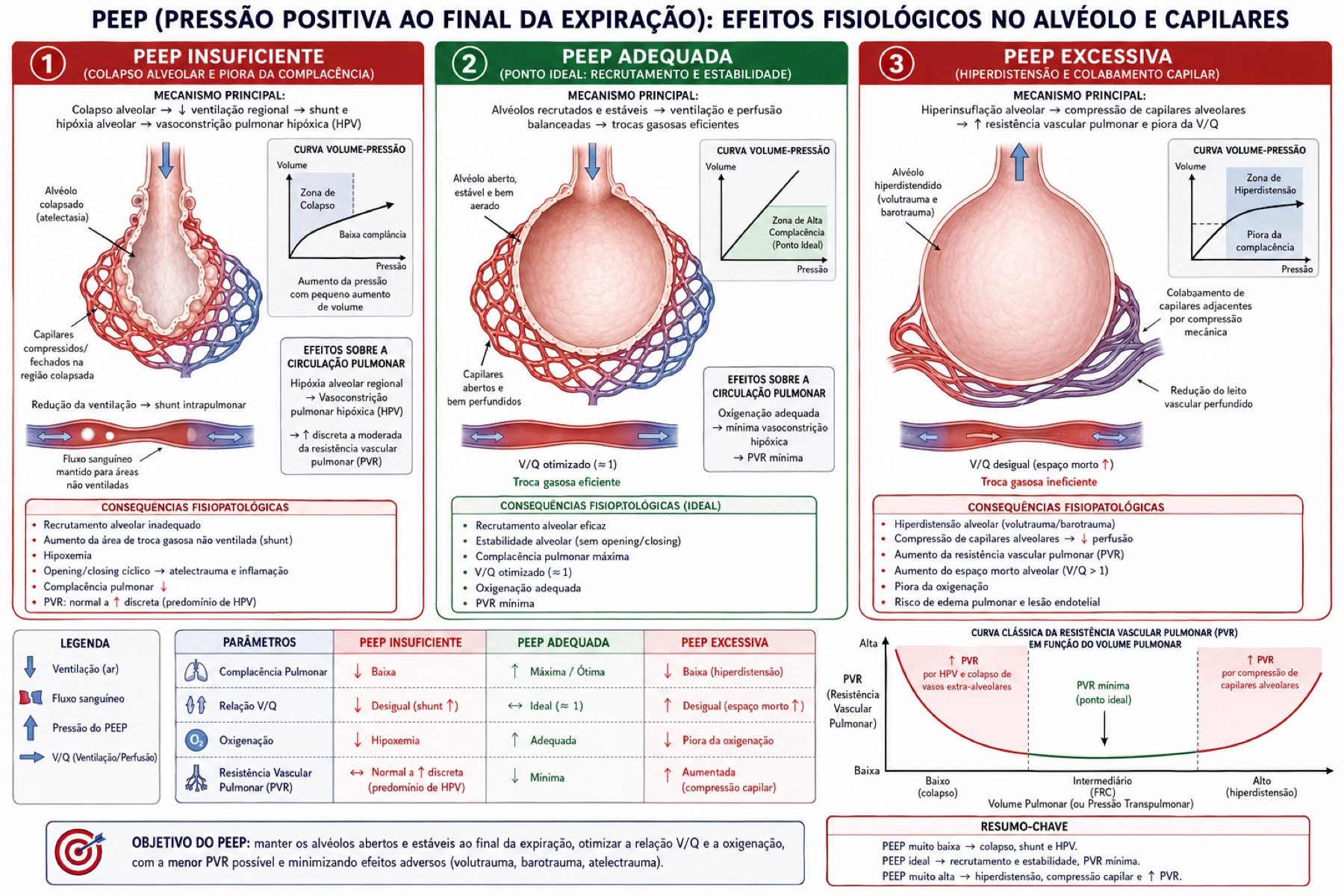 PEEP — Efeitos fisiológicos no alvéolo e capilares